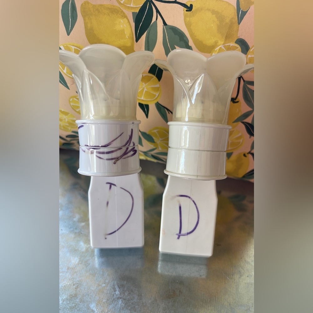 Bath and body work wallflower plug ins